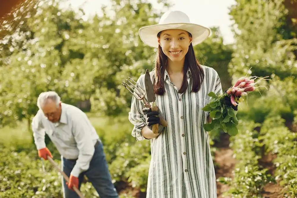 Urban Farming Essentials: Must-Have Gardening Tools for Beginners