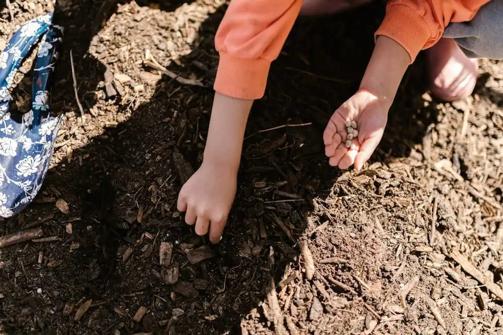 Composting 101: Getting Started with Organic Waste Recycling
