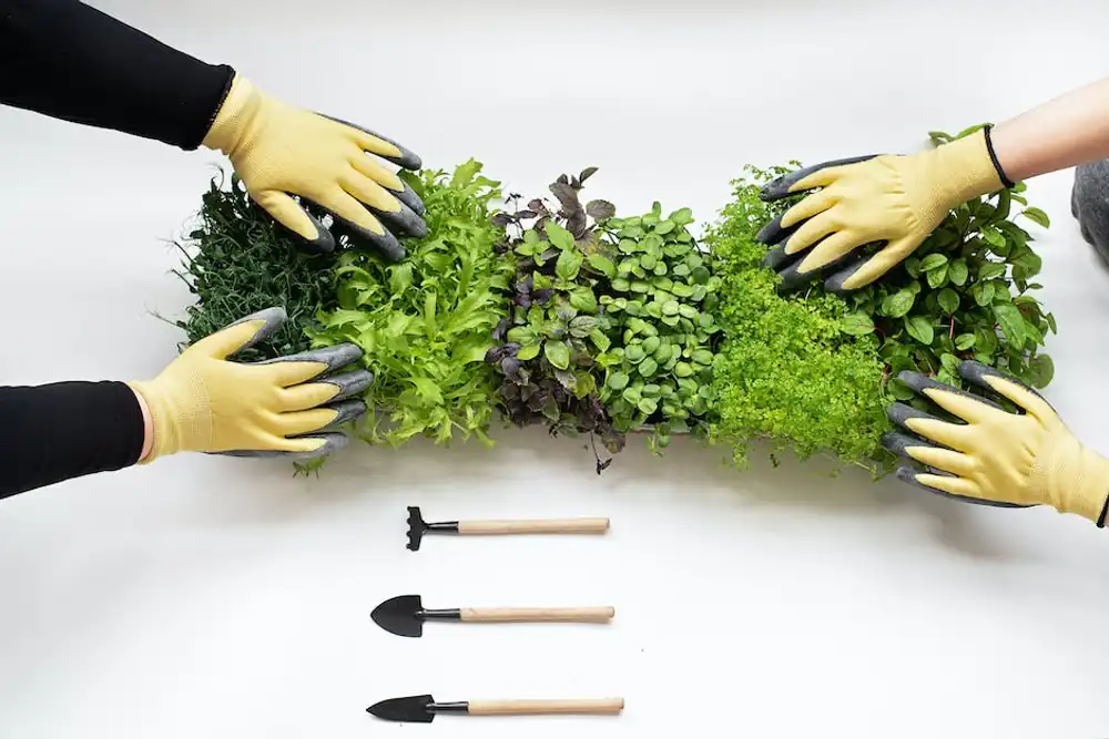 Cover image of Essential Gardening Tools for Small-Scale Urban Farms